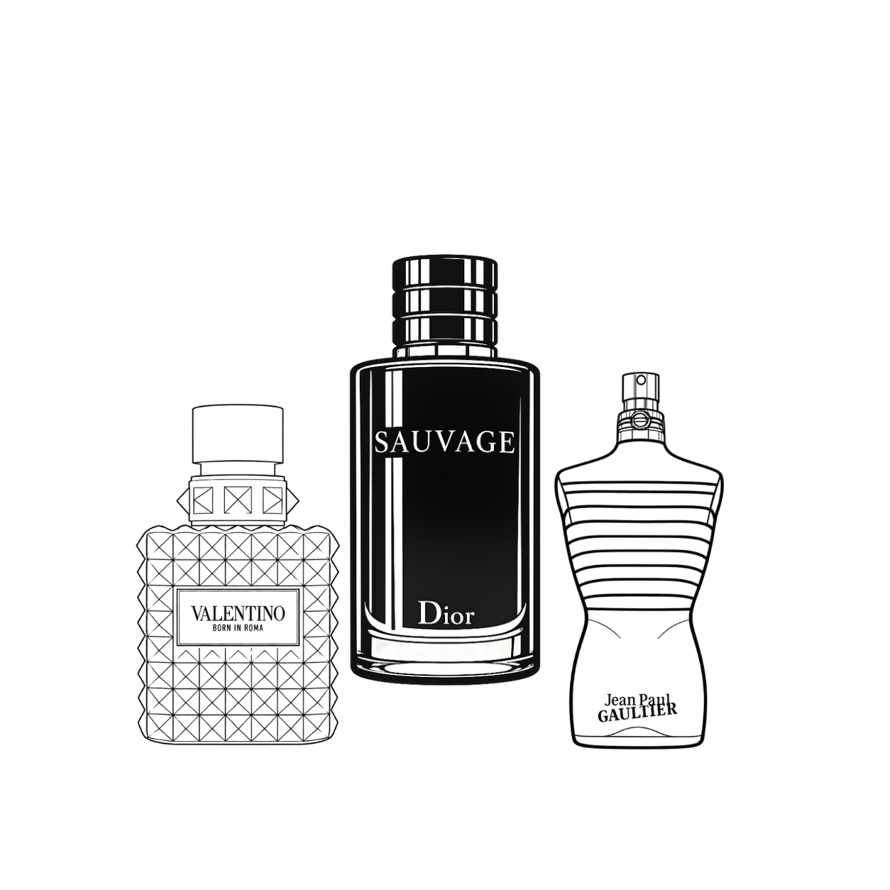 PROVEEDOR DE PERFUMES